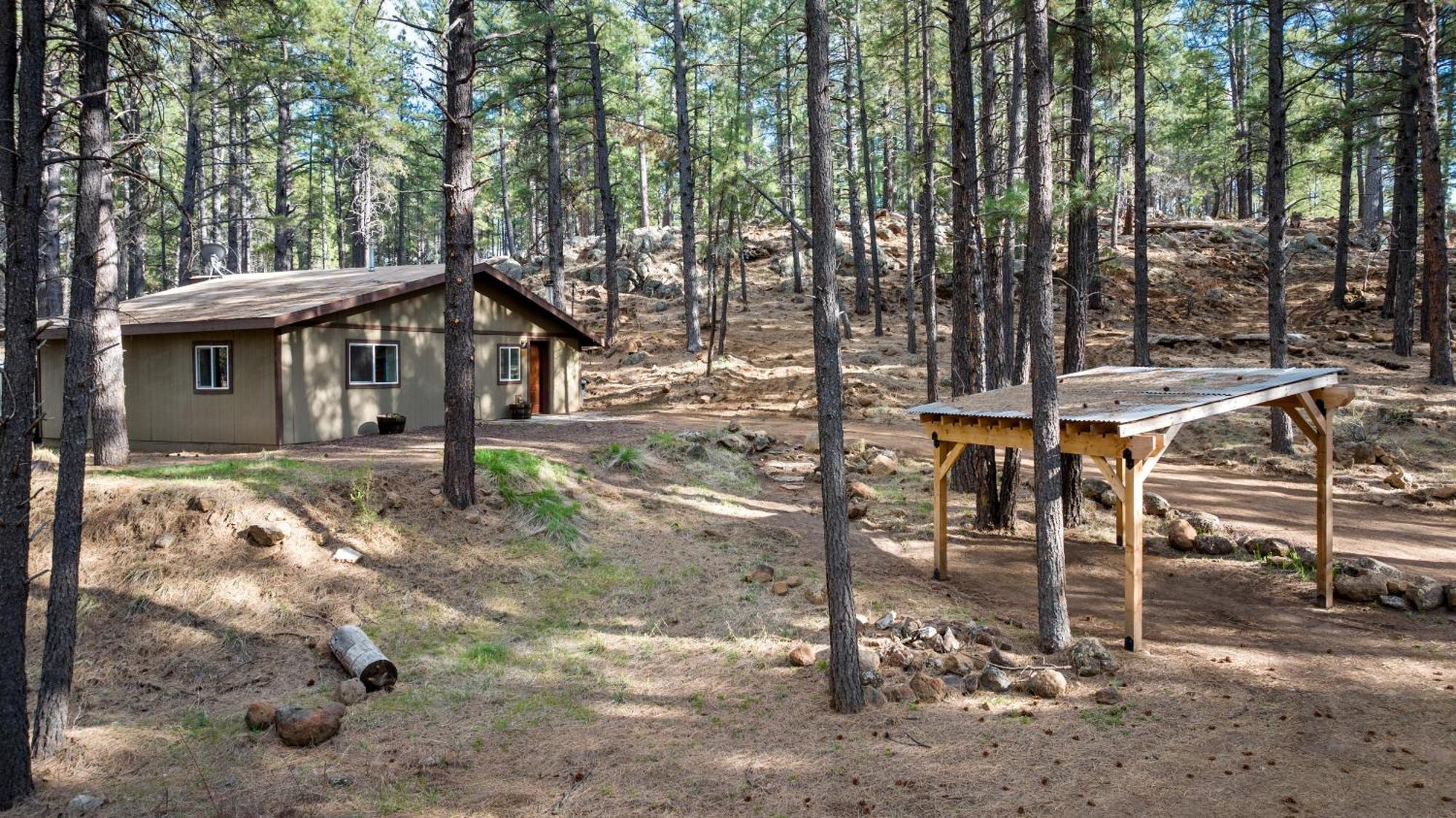 The Cozy Cottage Flagstaff Dış mekan fotoğraf